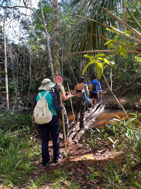 Grupo atravessando uma ponte de troncos sobre um córrego, na mata