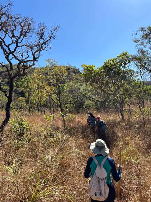 Caminhantes de mochila seguindo pela trilha no capim alto do cerrado