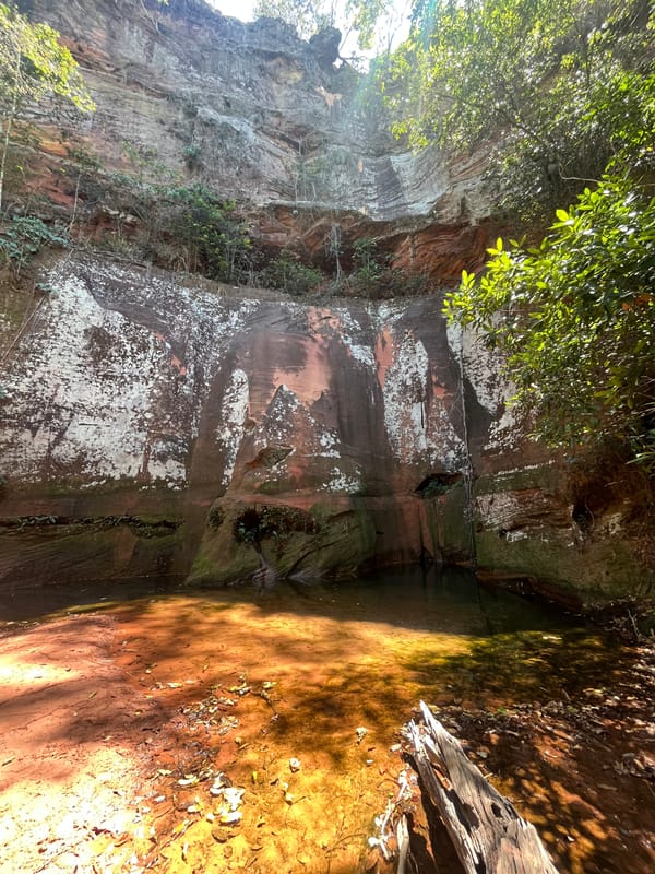 Poço de água parada ao pé de um paredão de arenito, com a mata em volta