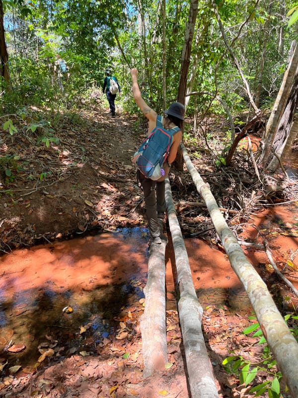 Caminhante atravessando uma ponte de troncos sobre um córrego de água avermelhada, na mata