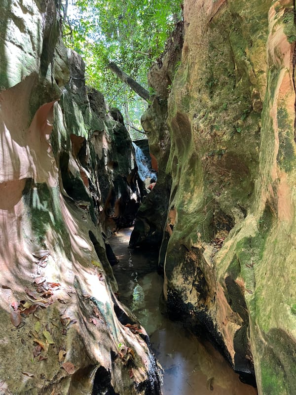 Fenda estreita entre paredões de pedra cobertos de musgo, com água correndo no fundo