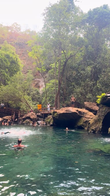 Gente nadando no poço verde, com a mata e um paredão de pedra ao fundo